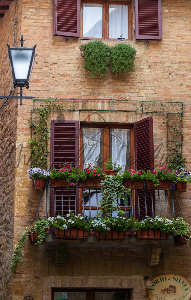 Window Of Tranquility Photography Art | Michelle Leslye Photography
