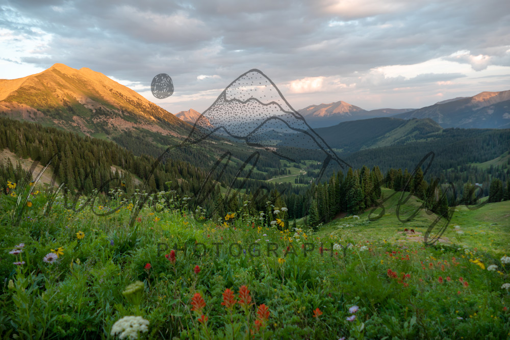 Peaks Of Gold, Fields Of Color,  Crested Butte Photography Art | Michelle Leslye Photography
