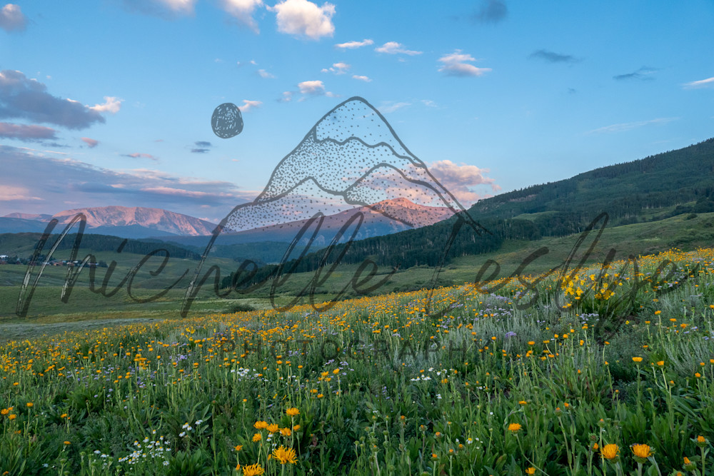 First L Ight, Fresh Blooms Crested Butte Photography Art | Michelle Leslye Photography