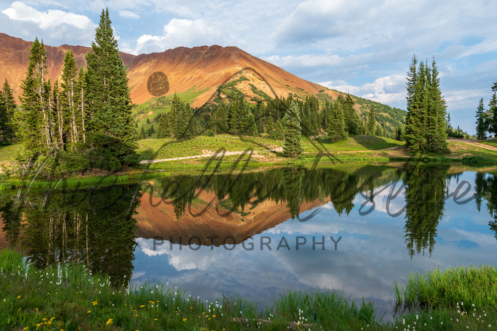 Crested Butte Colorado 6 Photography Art | Michelle Leslye Photography