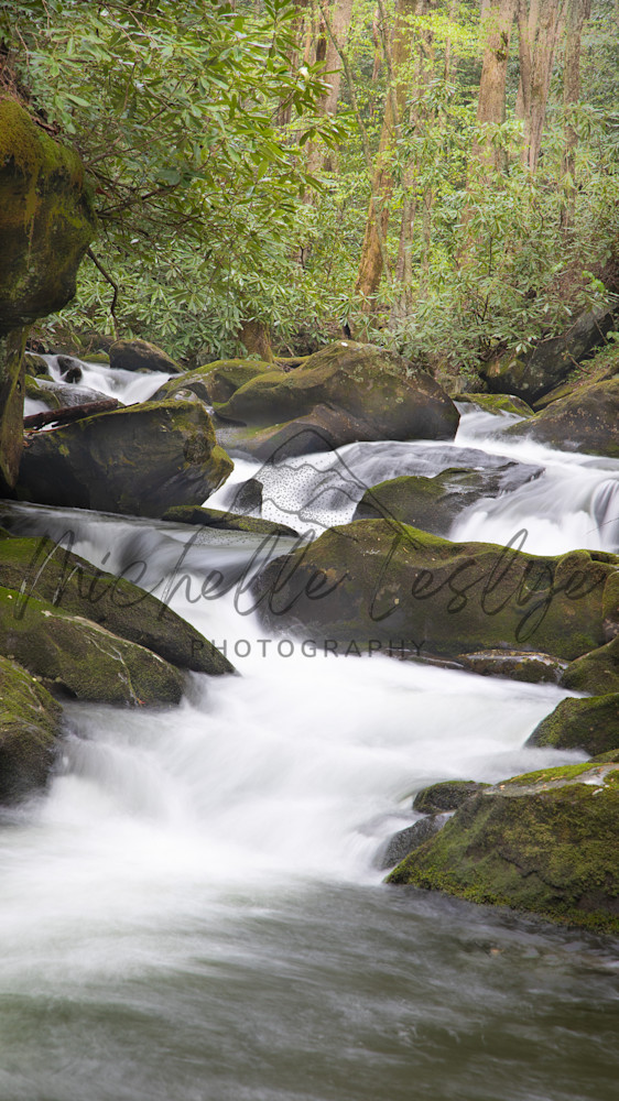Velvet Stream Photography Art | Michelle Leslye Photography