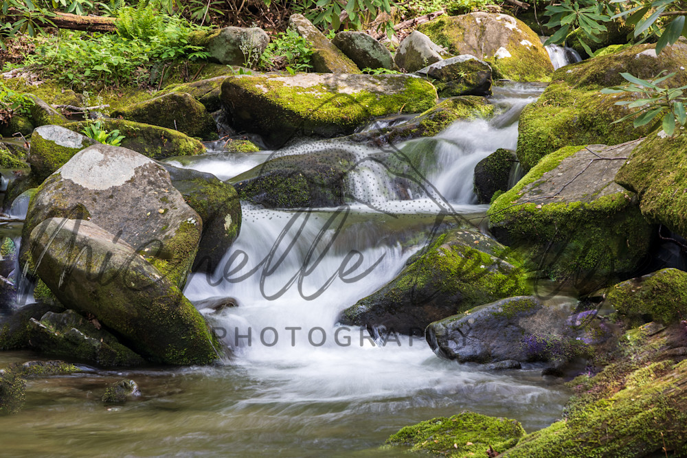 Silken Drift Photography Art | Michelle Leslye Photography