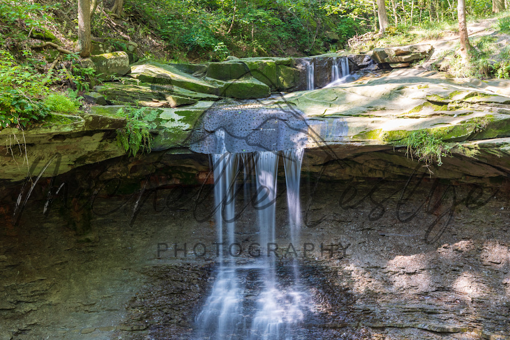 Forest's Veil Photography Art | Michelle Leslye Photography