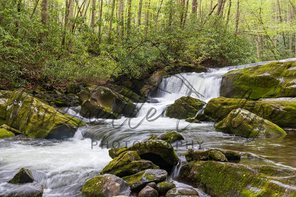 Floating Cascade Photography Art | Michelle Leslye Photography
