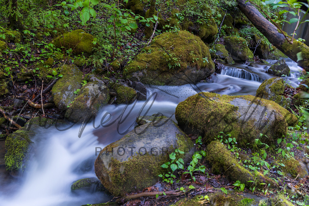 Silent Drift Photography Art | Michelle Leslye Photography