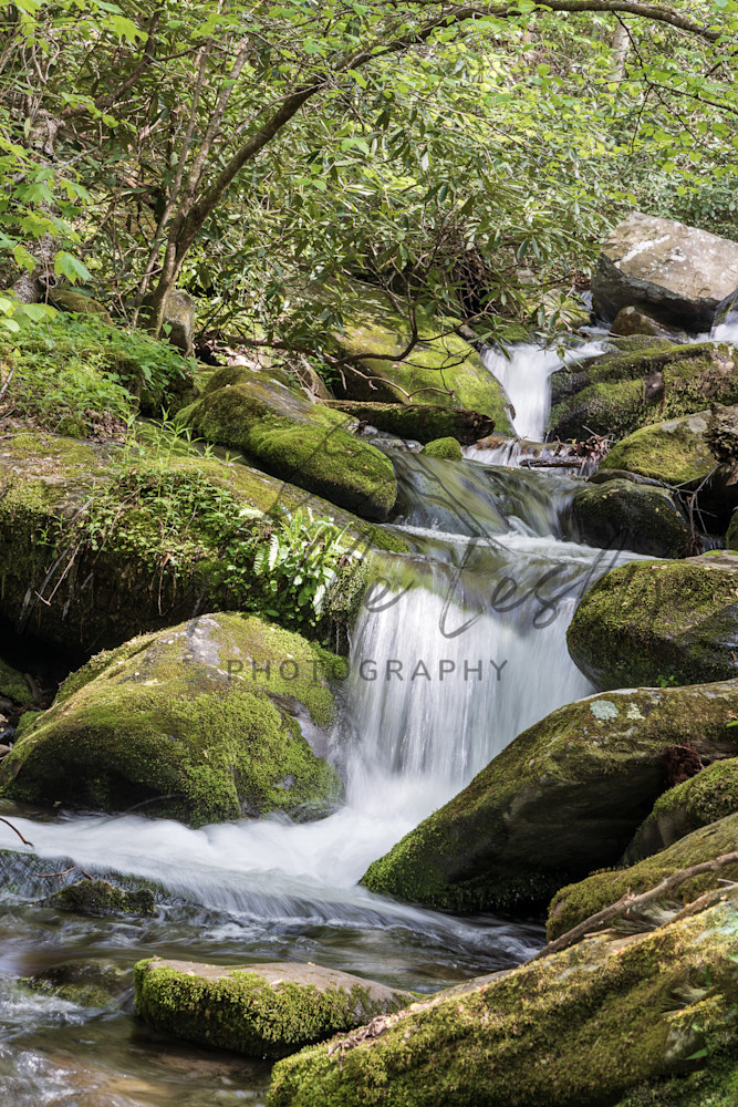 Misty Drift Photography Art | Michelle Leslye Photography