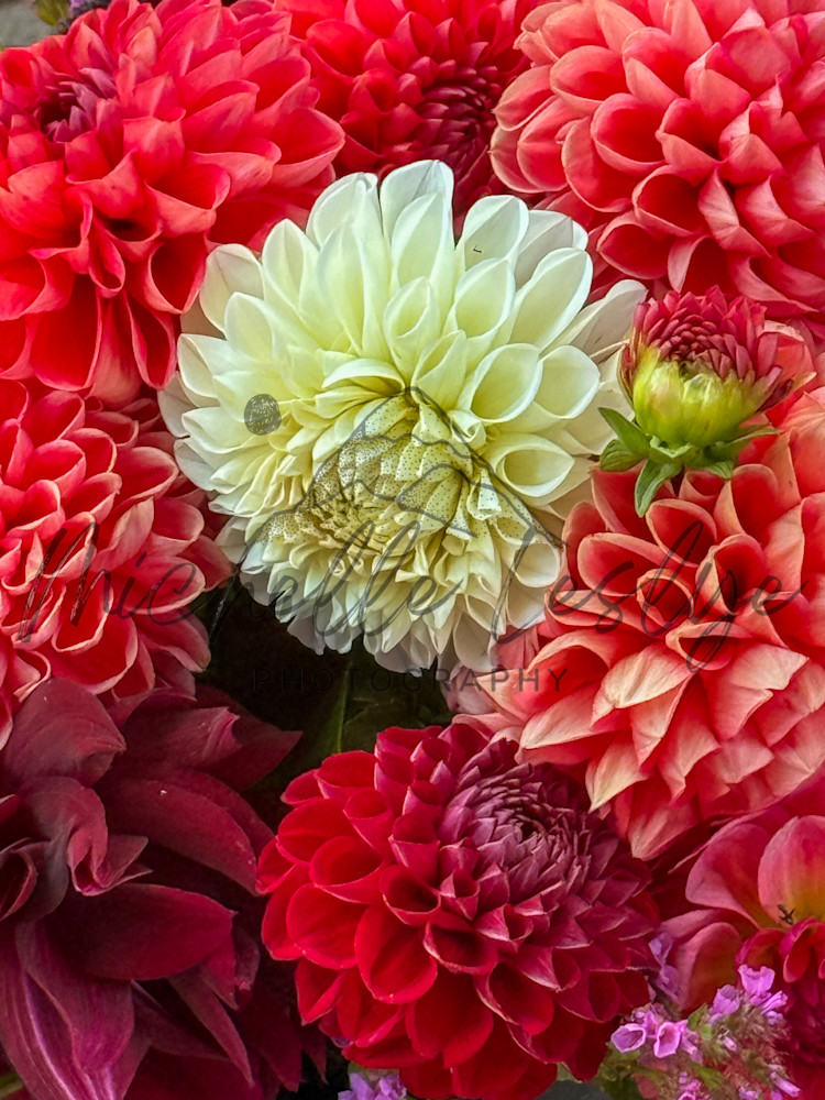 Floral Chorus Photography Art | Michelle Leslye Photography