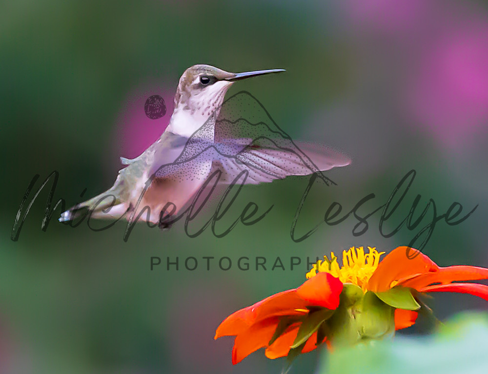 Suspended Grace Photography Art | Michelle Leslye Photography