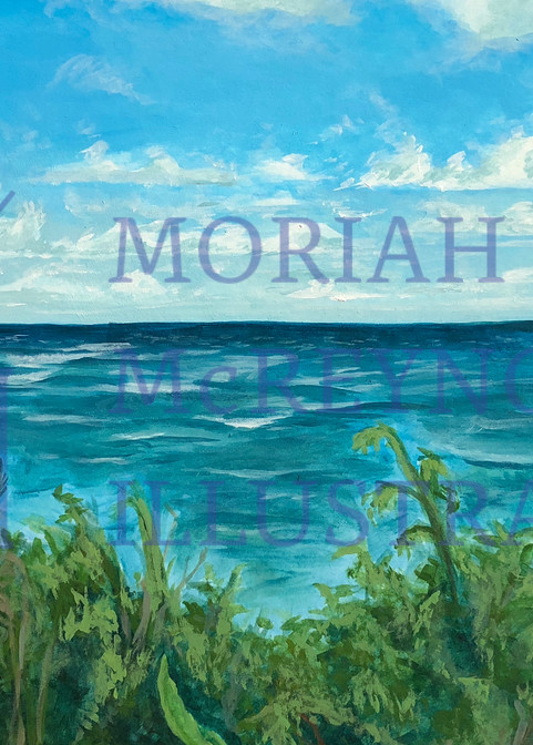 Hawaiian Views  Art | Moriah McReynolds Illustration