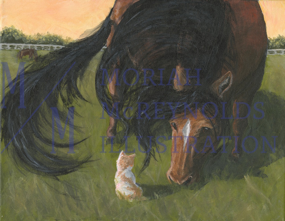 Kitten And Horse Art | Moriah McReynolds Illustration