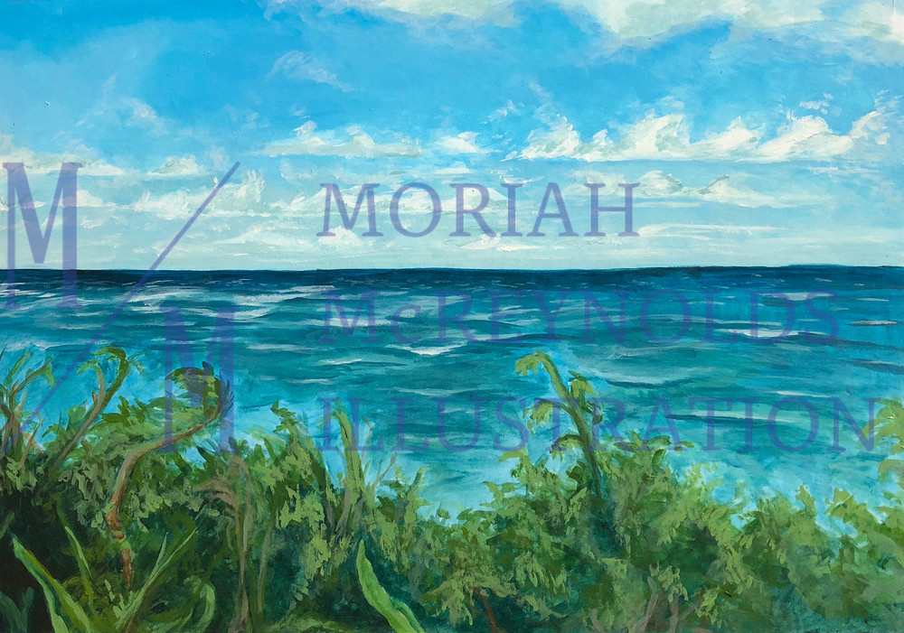 Hawaiian Views  Art | Moriah McReynolds Illustration