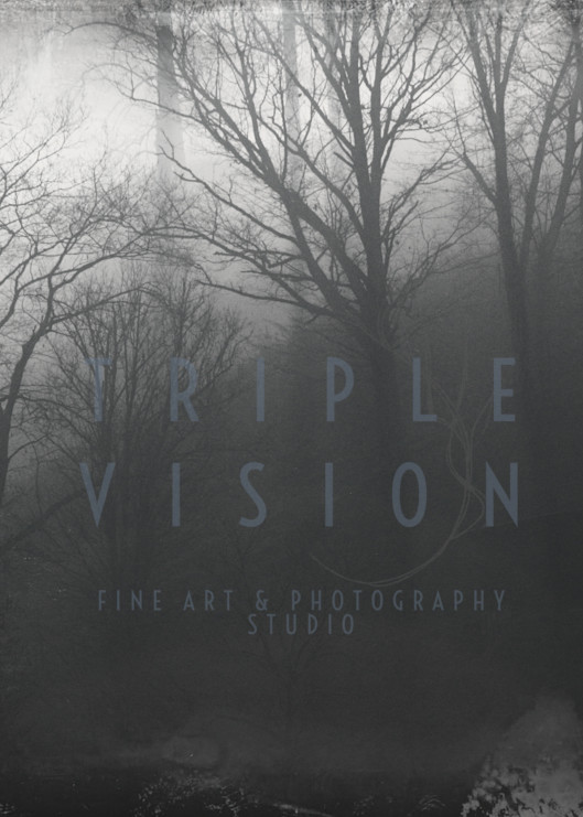 Deep Mountain Fog Daguerrotype Photography Art | Triple Vision Studio