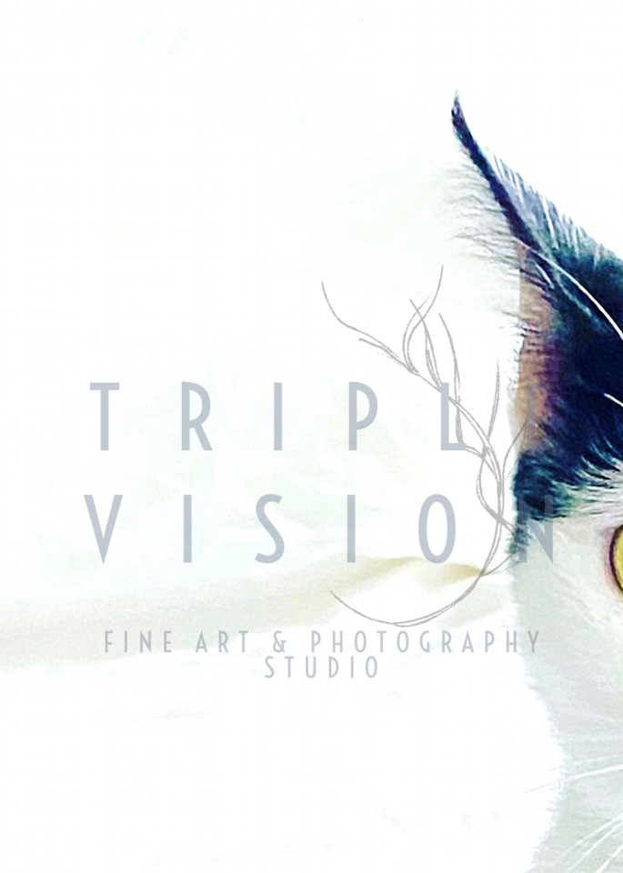 Sister Mary Lakshmi Singh Photography Art | Triple Vision Studio