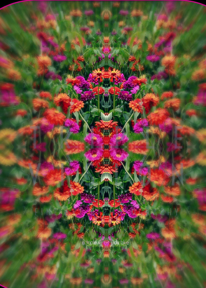 Floral Mandala Photography Art | Triple Vision Studio