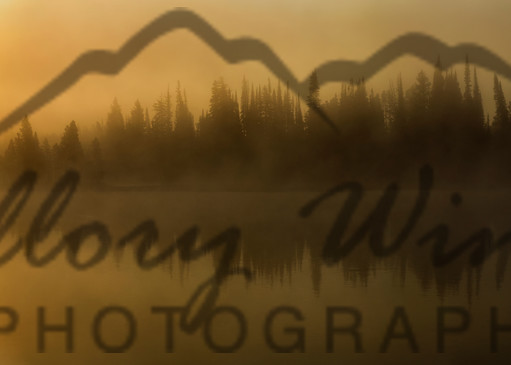 On Golden Pond, Yellowstone River, Yellowstone National Park