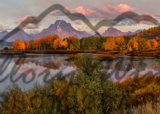 Fall At Oxbow Bend, Grand Teton National Park Photography Art | Mallory Winters Photography