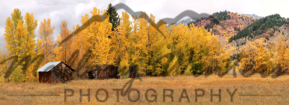 Turnerville Fall, Turnerville, WY