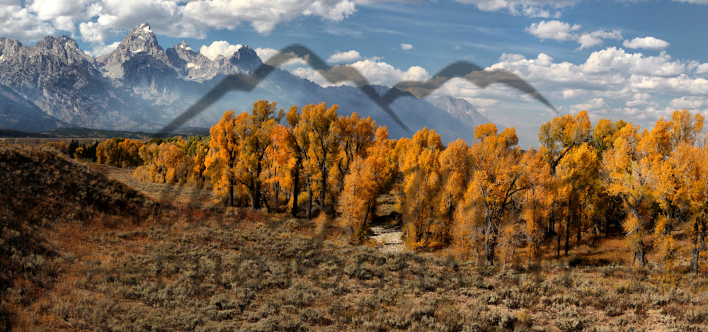 Tetons Over The Cottonwoods Photography Art | Mallory Winters Photography