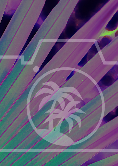 Palm Leaf Closeup (Color Variation 1) Art | Max Duckworth