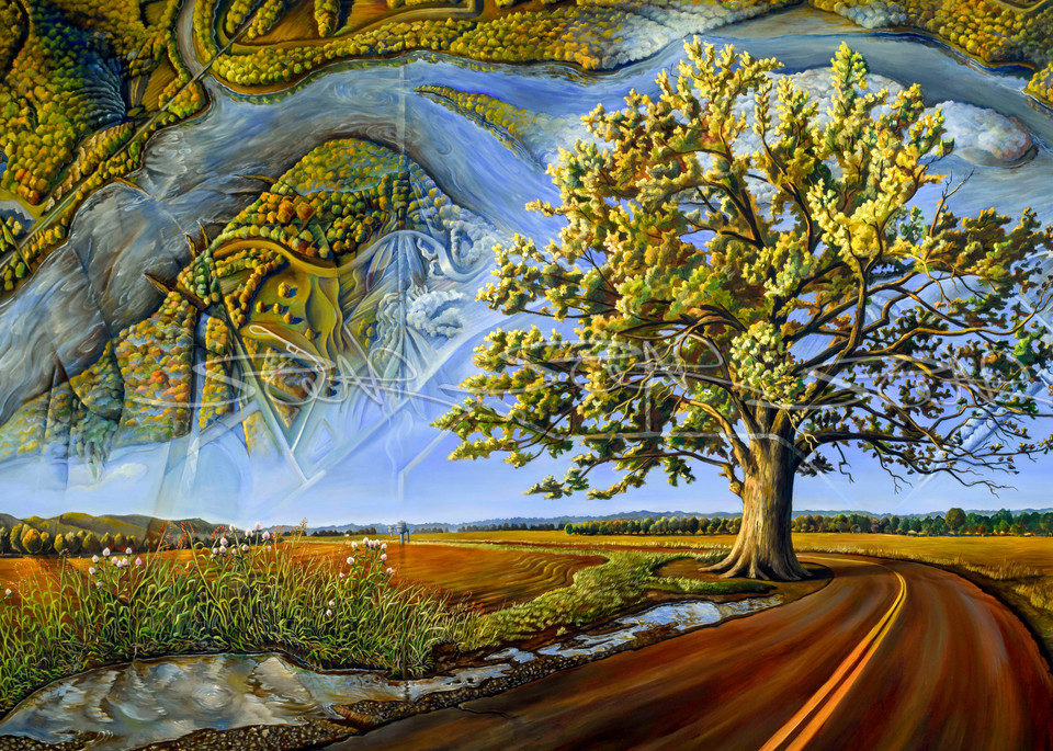 Bur Oak Tree  Art | David Spear 