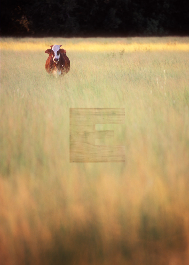 Big Hay Rolls Photography Art | woodeworks