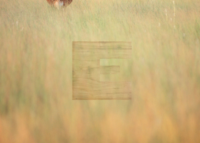 Big Hay Rolls Photography Art | woodeworks
