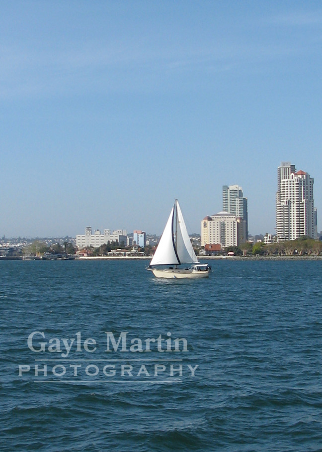 Portrait Of A Sailboat And Cityscape Photography Art | gaylemartin