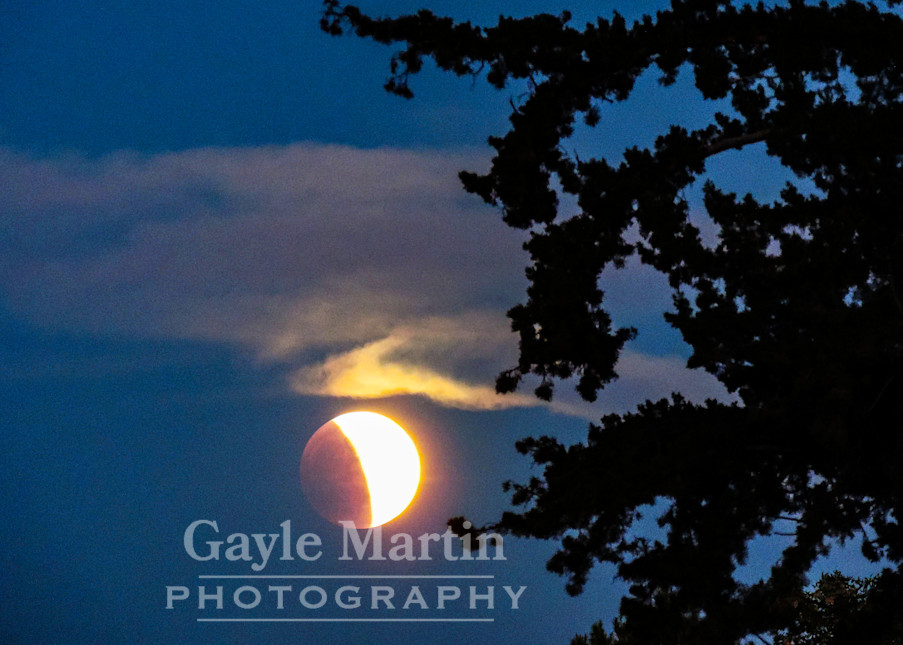 A Lunar Eclipse  Photography Art | gaylemartin