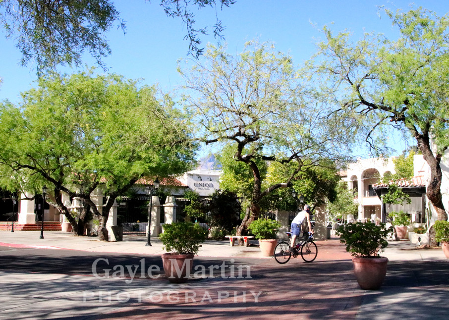 A Bicyclist At St. Philip's Plaza Photography Art | gaylemartin