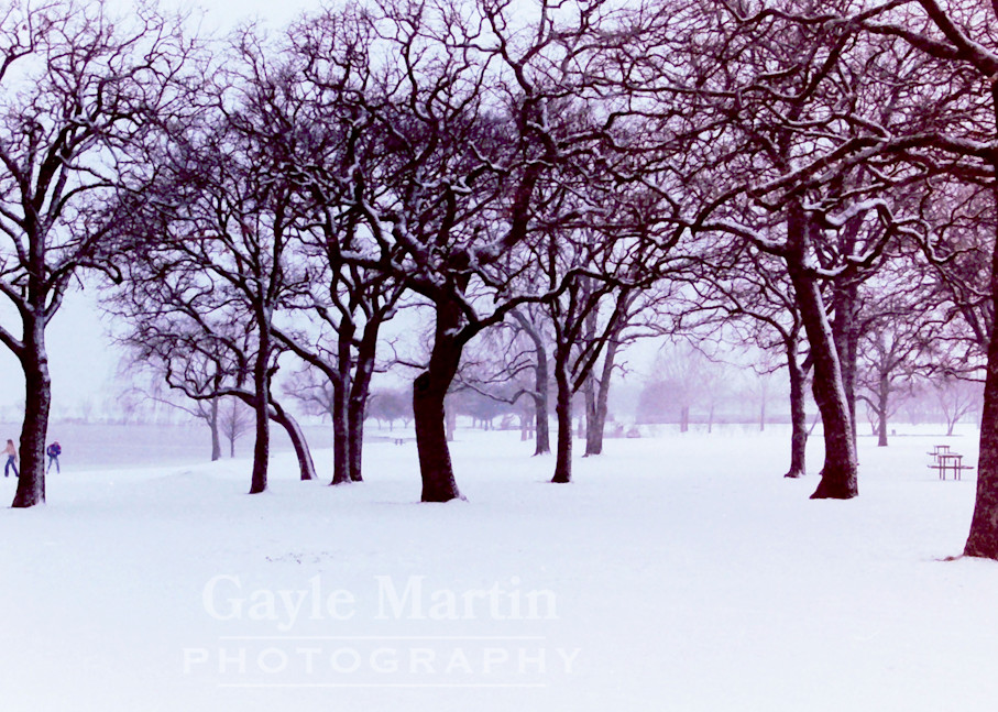 A Winter Day In Dallas Photography Art | gaylemartin