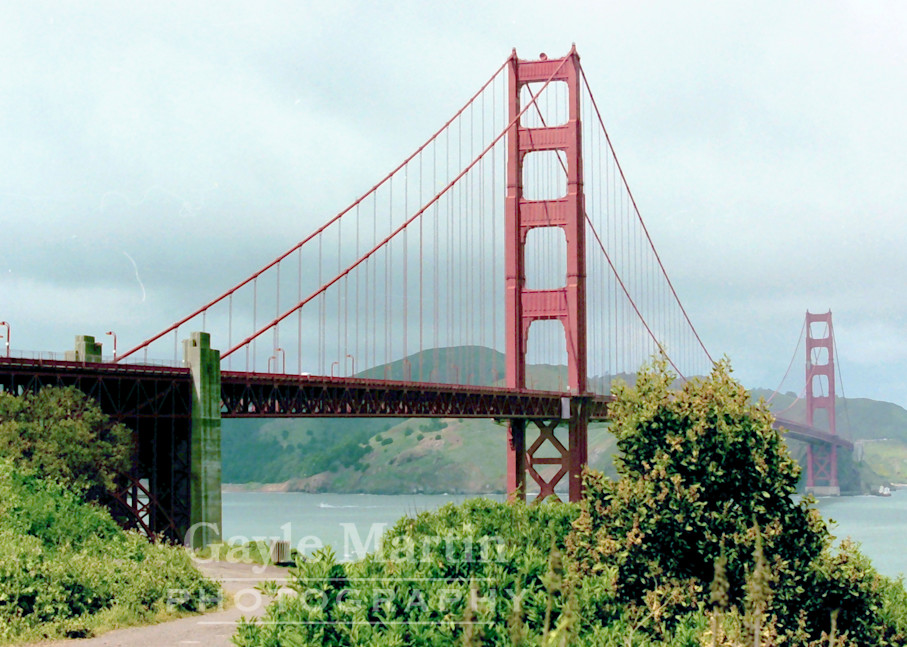 Flowery Path To The Golden Gate Bridge Photography Art | gaylemartin