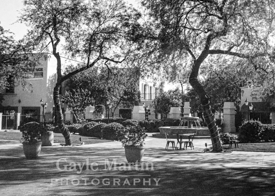 A Fountain At St. Philip's Plaza In Black And White Photography Art | gaylemartin