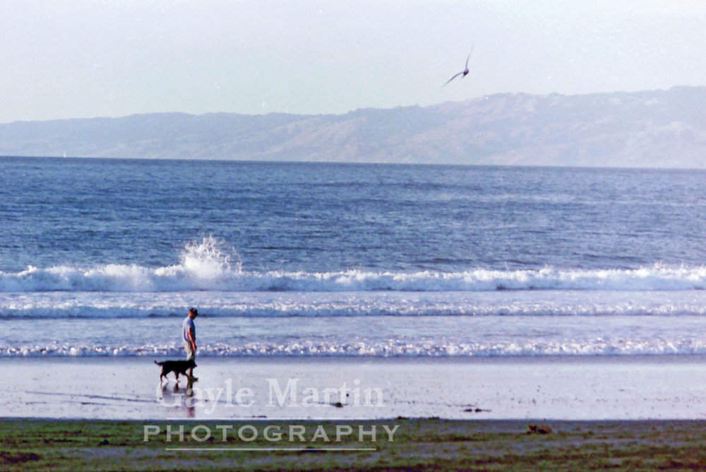 A Man And His Dog On Beach Photography Art | gaylemartin
