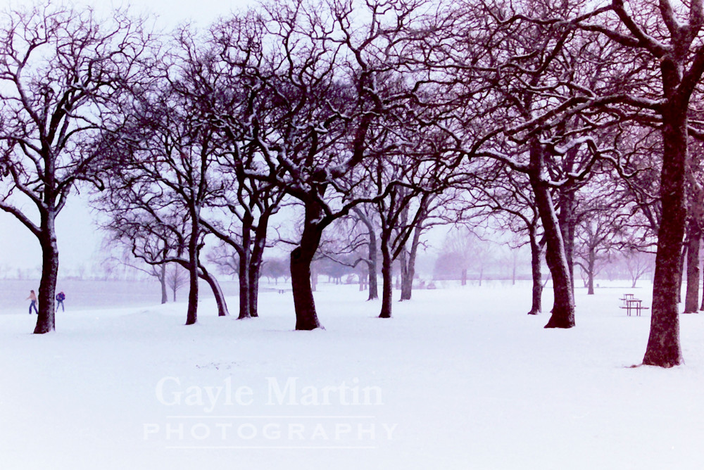 A Winter Day In Dallas Photography Art | gaylemartin