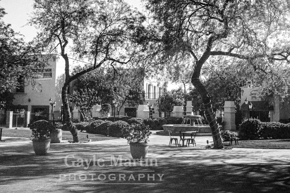 A Fountain At St. Philip's Plaza In Black And White Photography Art | gaylemartin