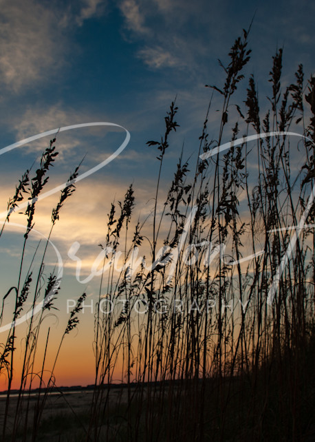 Seagrass Sunset Art | Brandon Hirt Photo