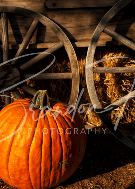 Pumpkin Wheel Art | Brandon Hirt Photo
