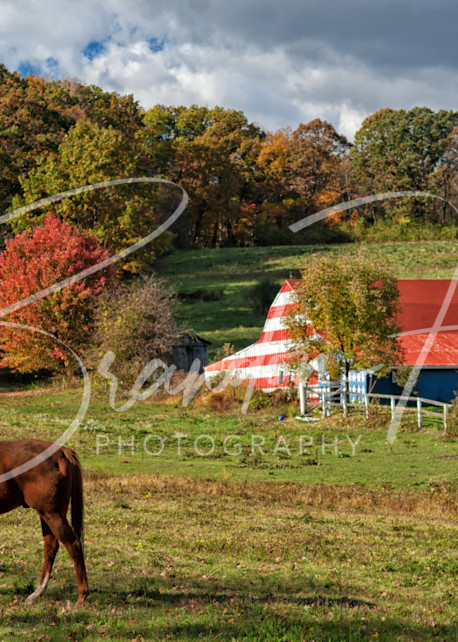 Horse Barn Art | Brandon Hirt Photo