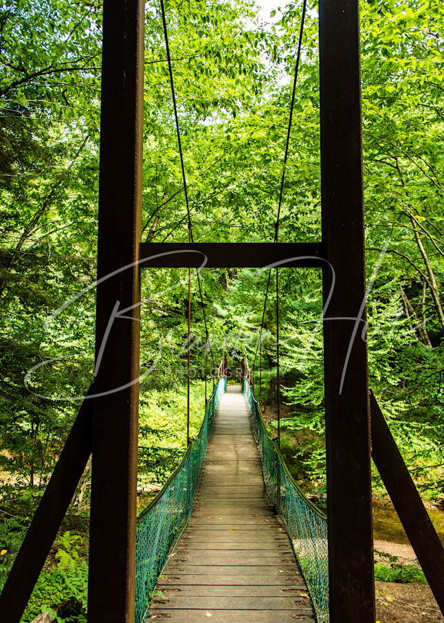 Cook Forest Suspension Bridge Art | Brandon Hirt Photo