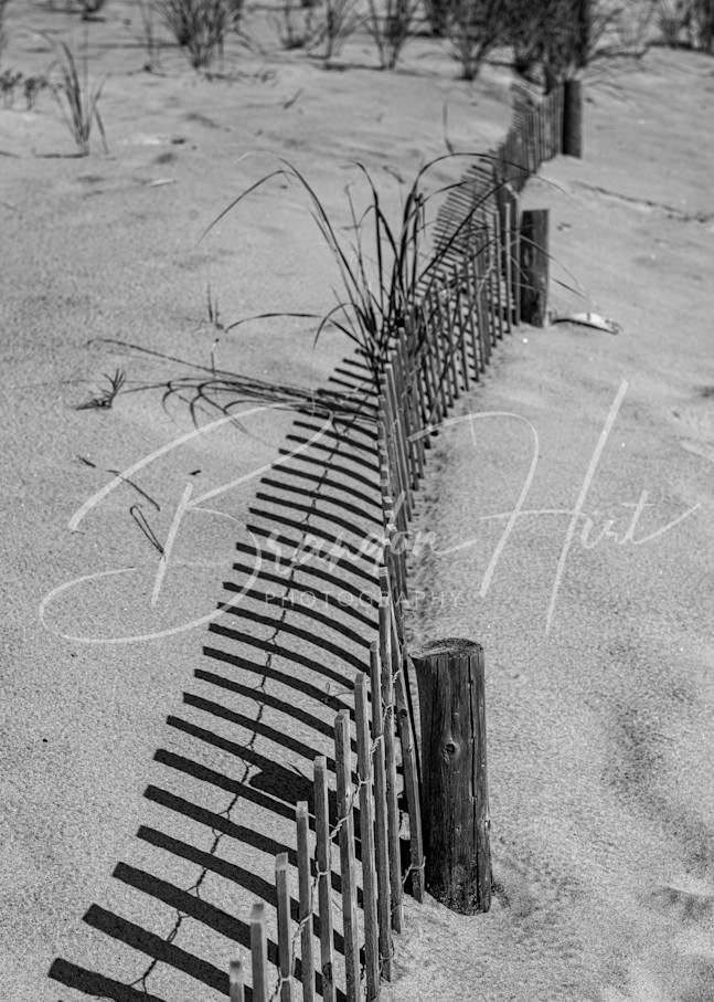 Delaware Beach Fence Art | Brandon Hirt Photo