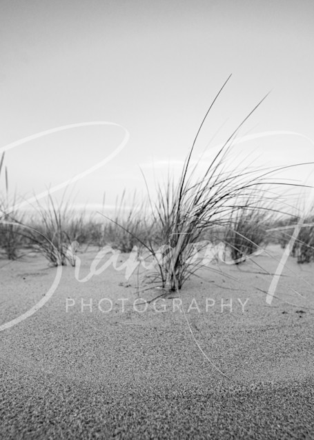 Henlopen Beach Grass Art | Brandon Hirt Photo