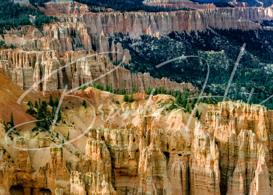 Bryce Canyon Art | Brandon Hirt Photo