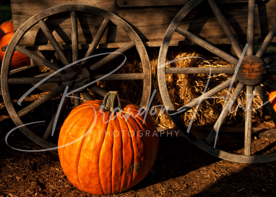 Pumpkin Wheel Art | Brandon Hirt Photo