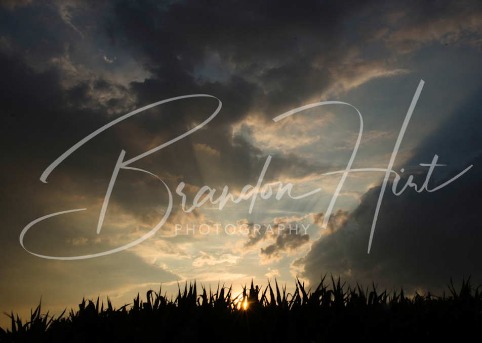 Corn Field Sunset Art | Brandon Hirt Photo