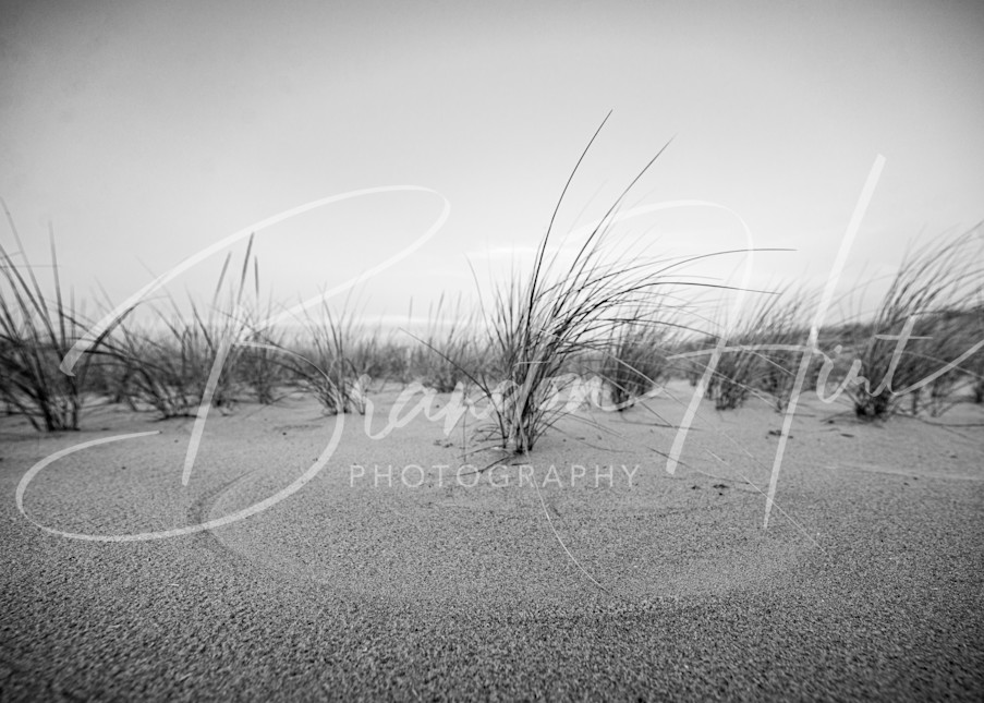 Henlopen Beach Grass Art | Brandon Hirt Photo