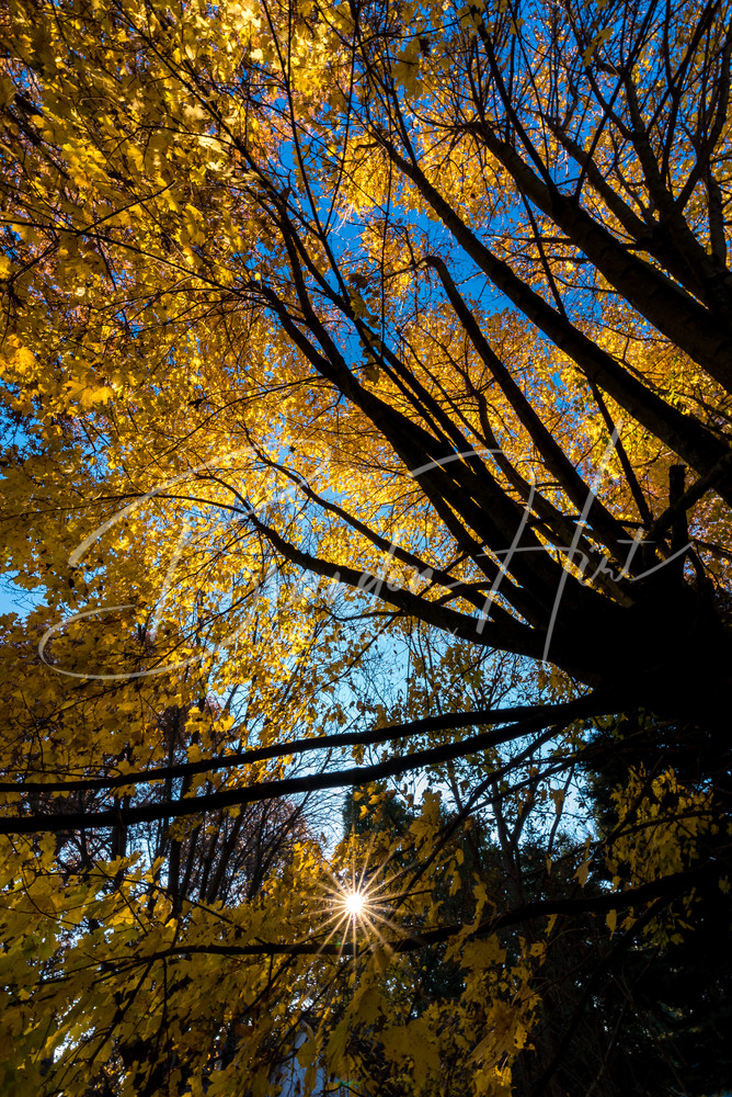 Pa Autumn Art | Brandon Hirt Photo