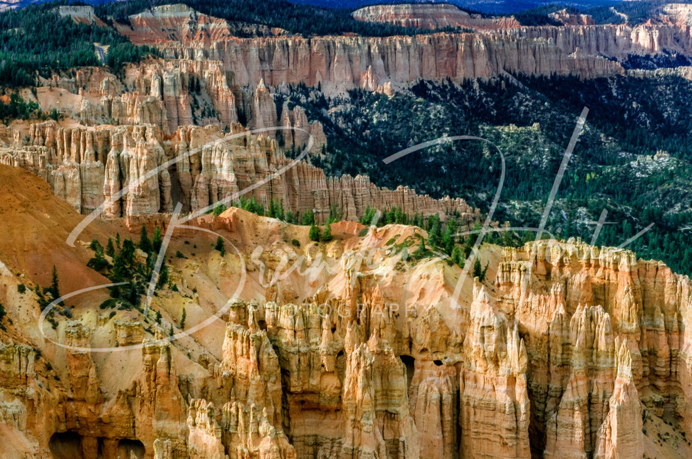 Bryce Canyon Art | Brandon Hirt Photo