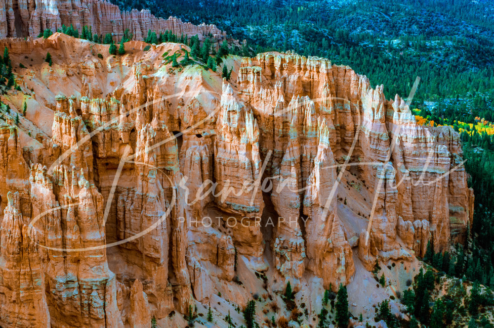 Bryce Canyon Photography Art | Brandon Hirt Photo