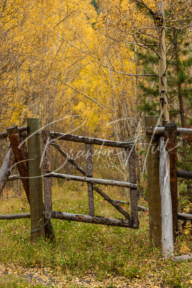 Breck Fence Photography Art | Brandon Hirt Photo