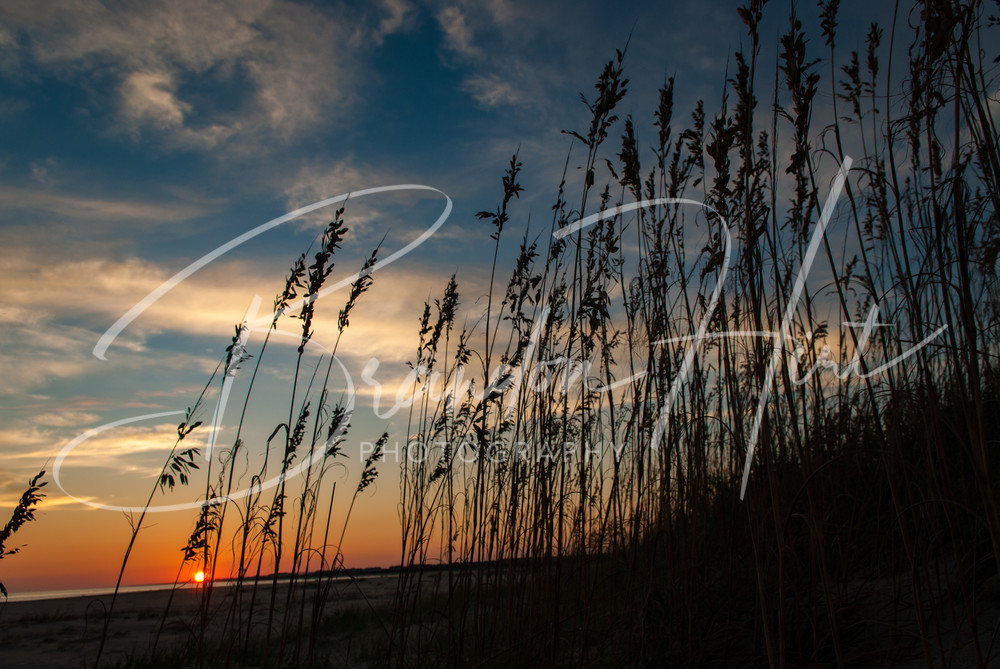 Seagrass Sunset Art | Brandon Hirt Photo